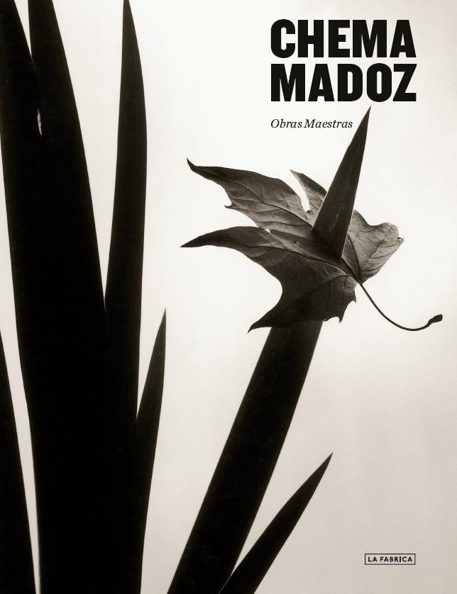 Chema Madoz. | 9788417769673 | Madoz, Chema.