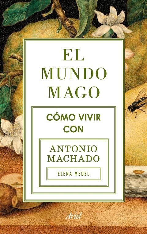 El mundo mago | 9788434422353 | Elena Medel