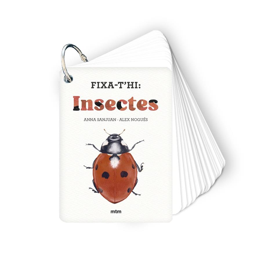 Fixa-t'hi: insectes | 9788410407213 | Sanjuan Llorens, Anna/Nogués Otero, Alex