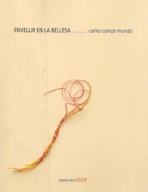 Envellir en la bellesa | 9788481289824 | Camps Mundó, Carles