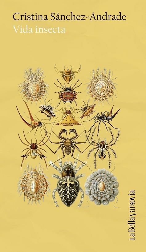 Vida insecta | 9788433949653 | Sánchez-Andrade, Cristina