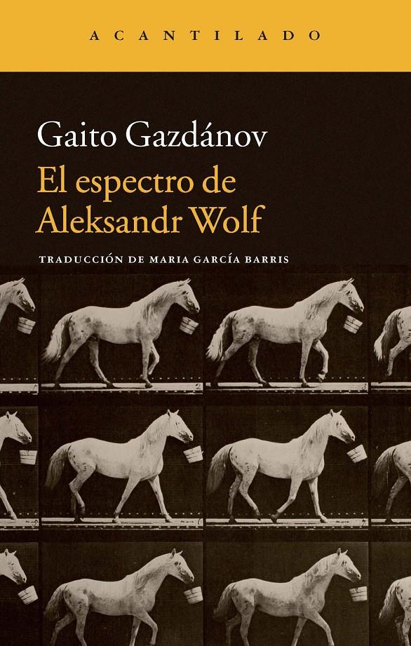 El espectro de Aleksandr Wolf | 9788416011414 | Gazdánov, Gaito/García Barris, María