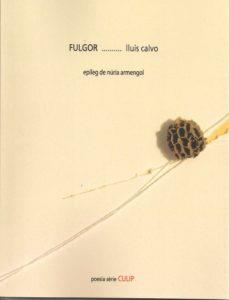 Fulgor | 9788481289862 | Calvo, Lluís