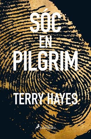 Sóc en Pilgrim | 9788416310159 | Hayes, Terry