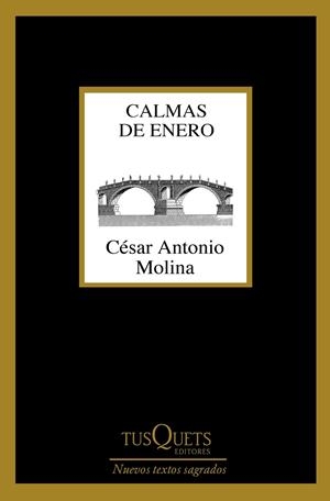 Calmas de enero | 9788490664704 | Molina, César Antonio