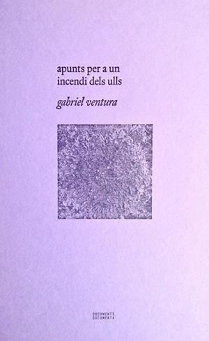 Apunts per a un incendi dels ulls | 9788412258202 | Ventura Cuenca, Gabriel