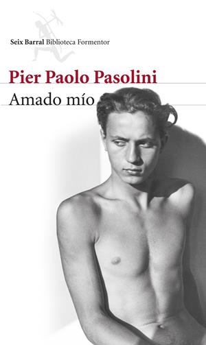 Amado mío | 9788432222870 | Pier Paolo Pasolini