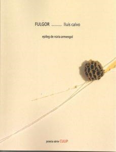 Fulgor | 9788481289862 | Calvo, Lluís