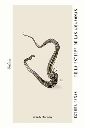 De la estirpe de las amazonas | 9788412401004 | Peñas Domingo, Esther