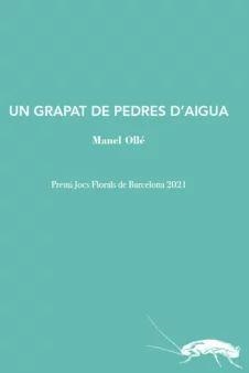 Un grapat de pedres d'aigua | 9788412328974 | Ollé Rodríguez, Manel