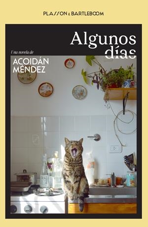 ALGUNOS DÍAS | 9788410483088 | Méndez, Acoidán