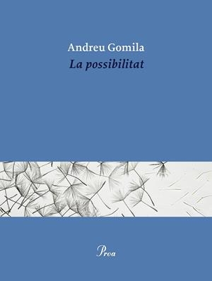 La possibilitat | 9791388369155 | Gomila Llobera, Andreu