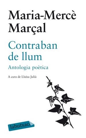 Contraban de llum | 9788499301051 | Marçal Serra, M. Mercè